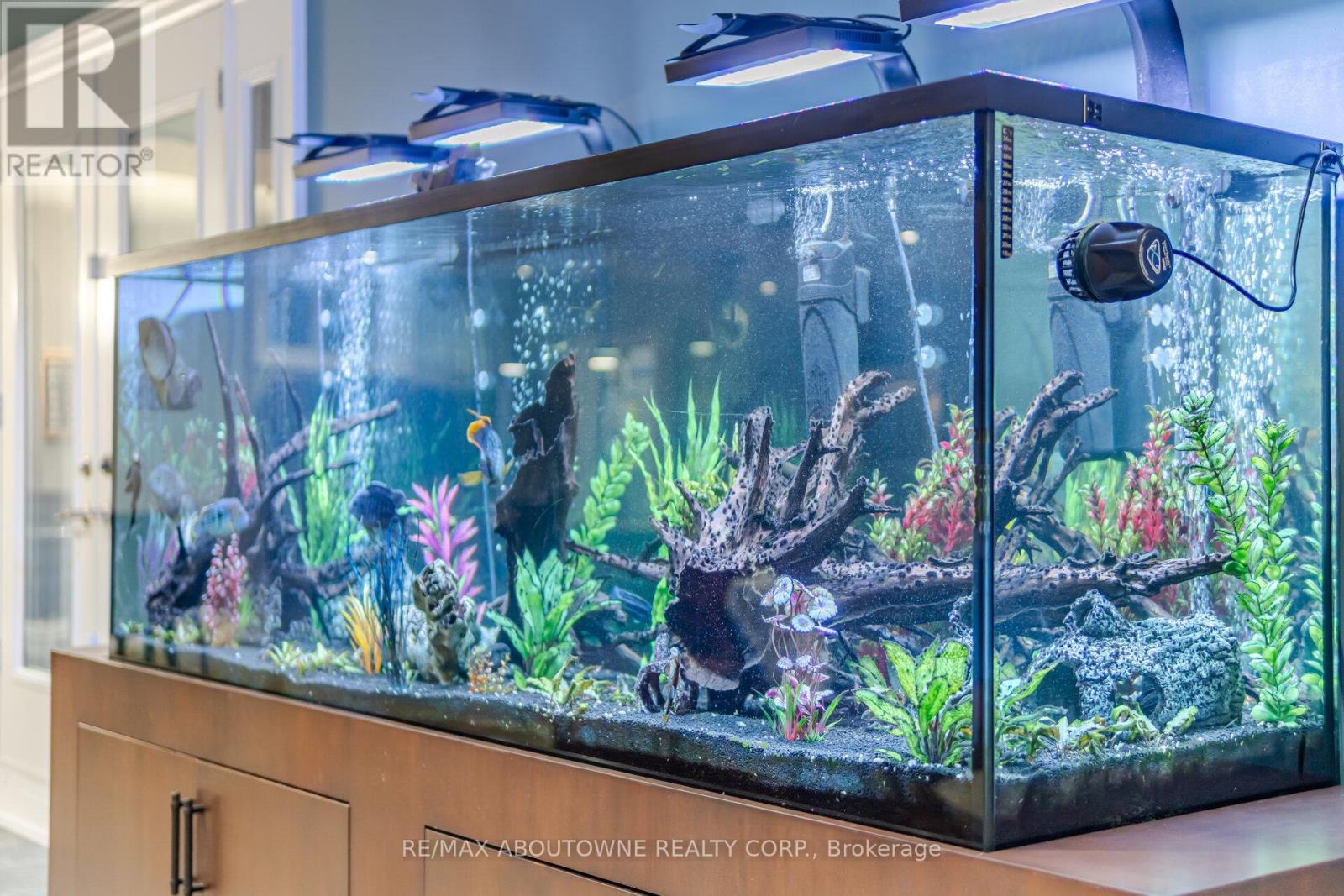 1271 Mineola Gardens, Mississauga, Ontario  L5G 3Y5 - Photo 32 - W12639148