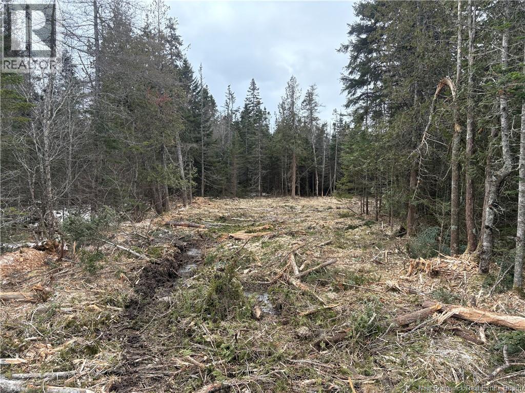 Na Route 790, Dipper Harbour, New Brunswick  E5J 1W4 - Photo 1 - NB131410