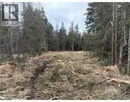 NA Route 790, dipper harbour, New Brunswick