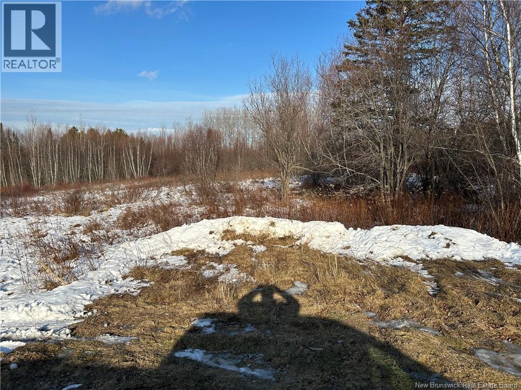 O Resevoir Road, St. Stephen, New Brunswick  E3L 4T4 - Photo 2 - NB131409