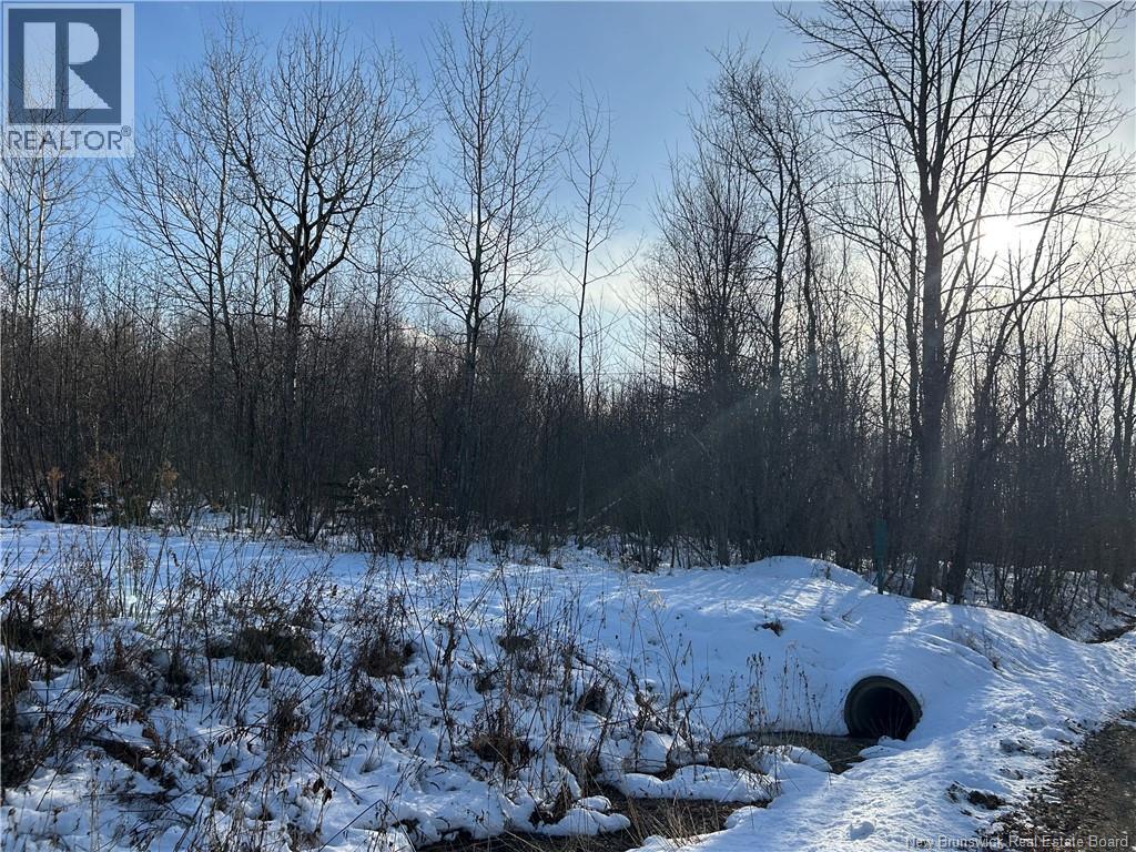 O Resevoir Road, St. Stephen, New Brunswick  E3L 4T4 - Photo 3 - NB131409