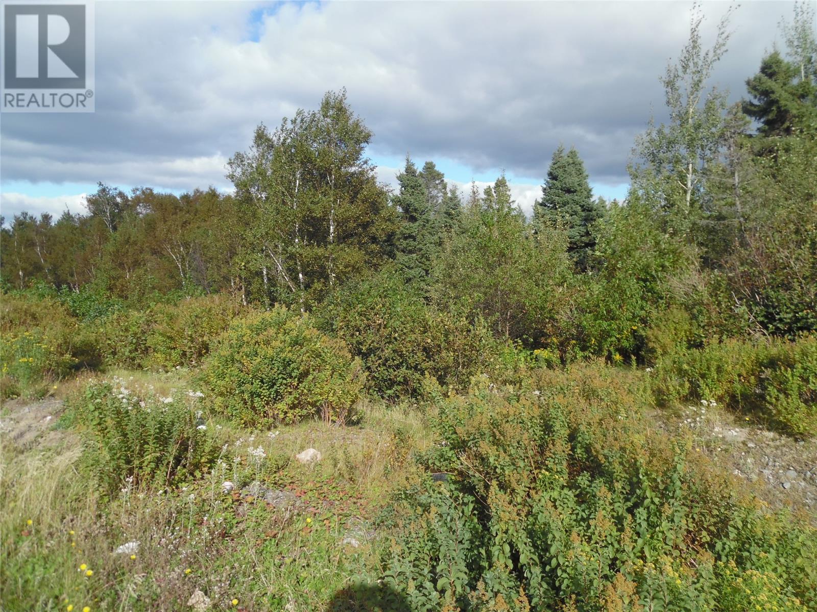 57A Legion Road, Port Blandford, Newfoundland & Labrador