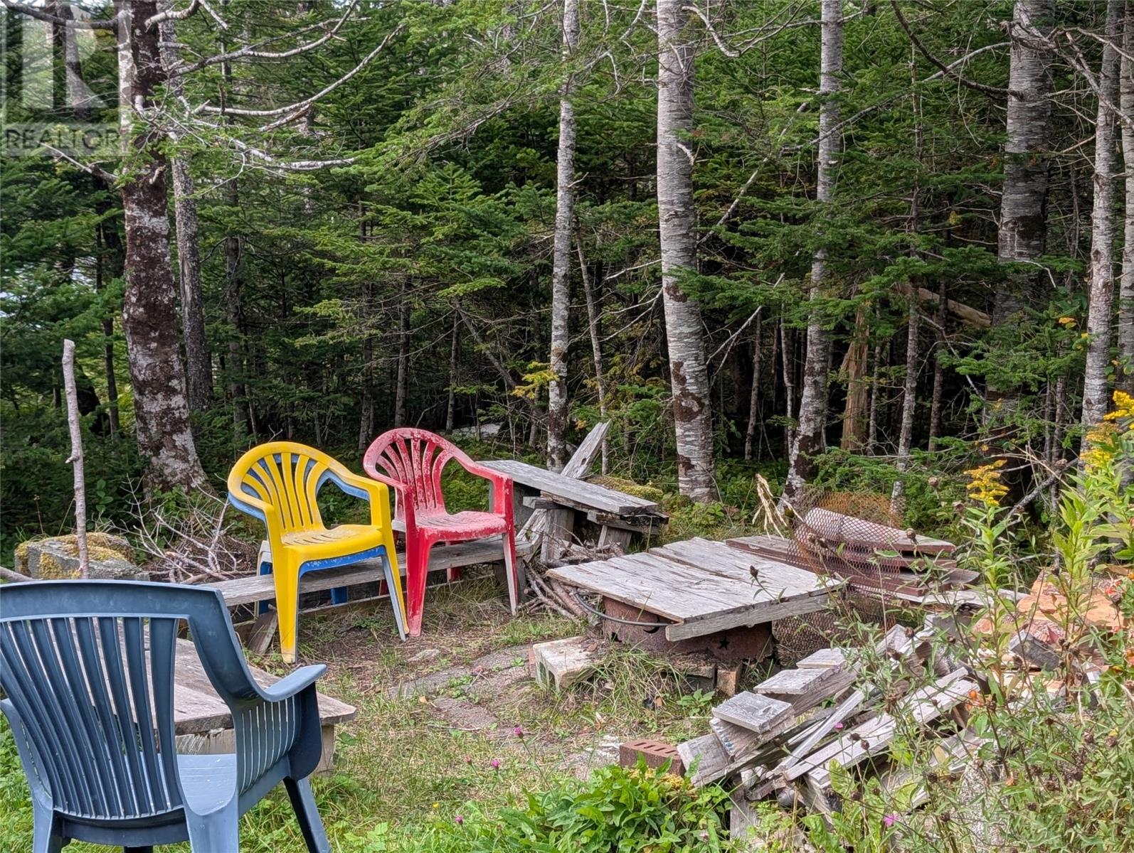 1 Vineland Road, Salmonier, Newfoundland & Labrador  A0B 2M0 - Photo 20 - 1290659