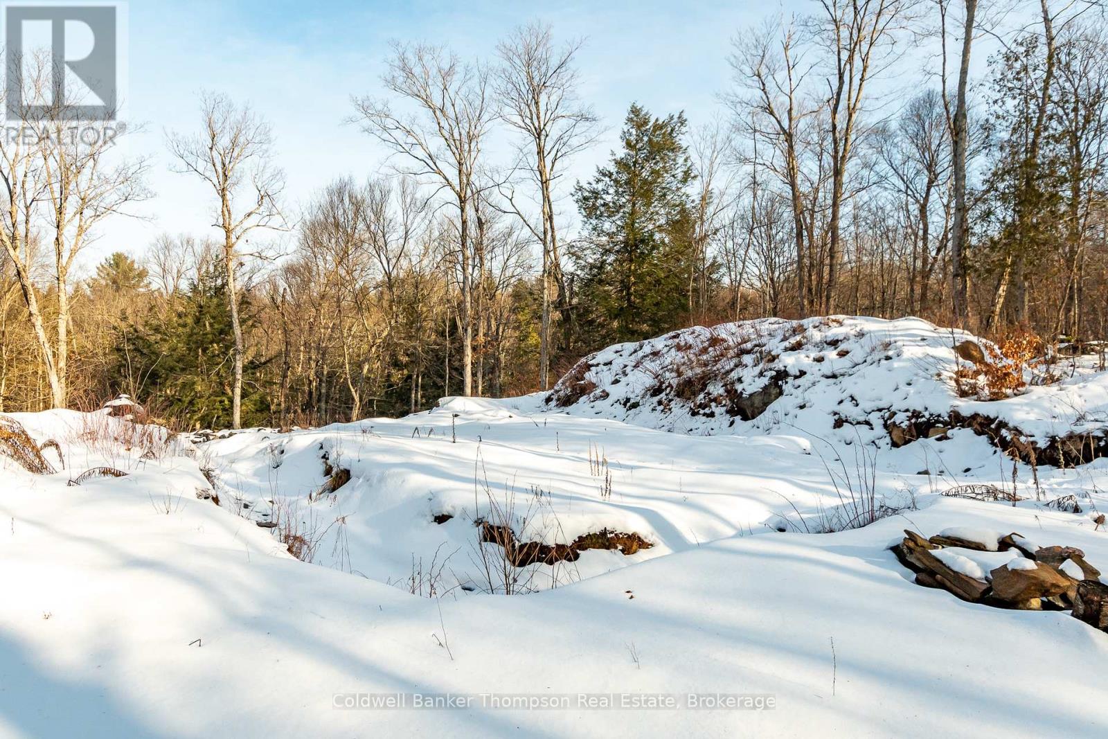 16 Claren Crescent, Huntsville, Ontario P1H 0C3 - Photo 6 - X12642482