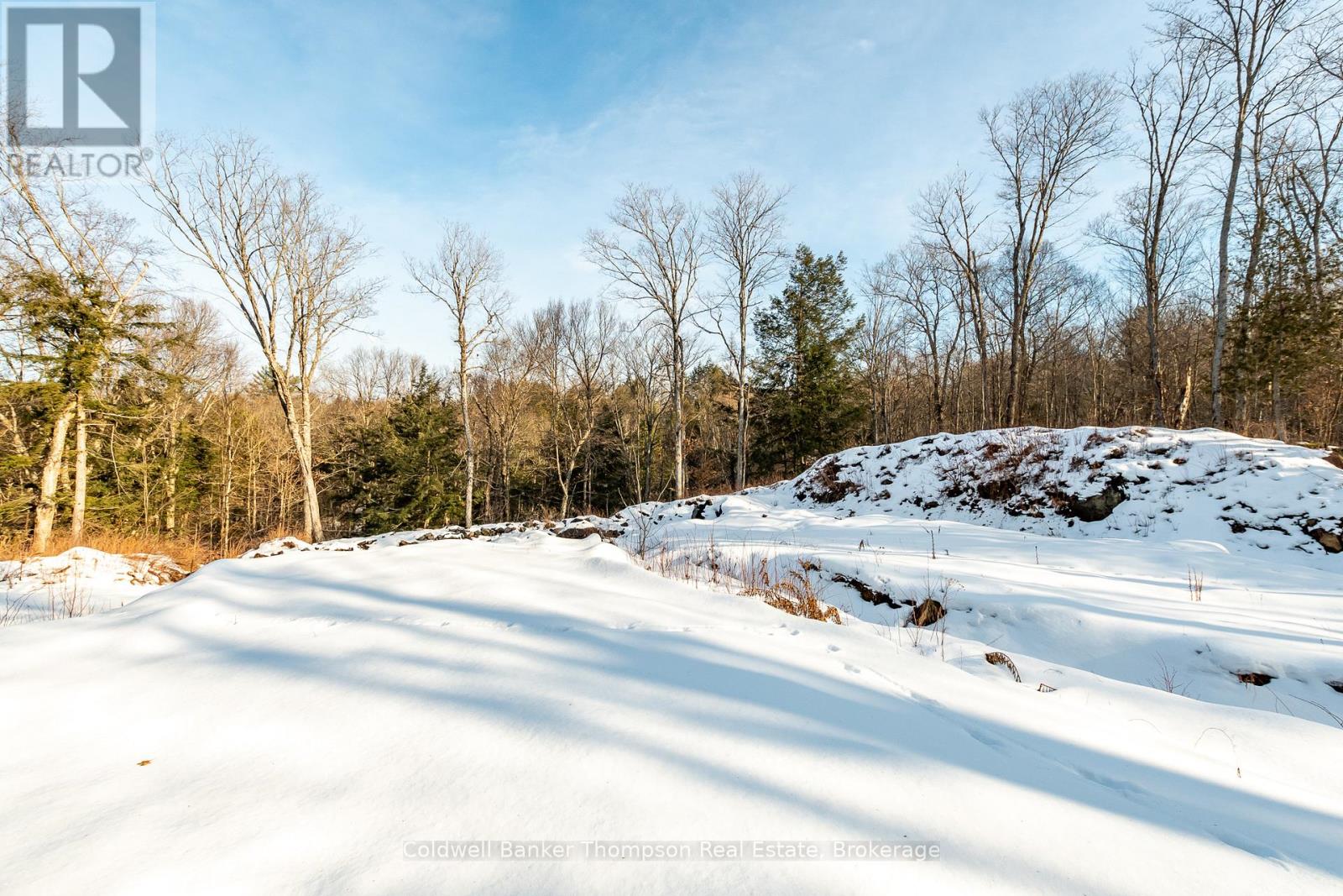 16 Claren Crescent, Huntsville, Ontario P1H 0C3 - Photo 7 - X12642482