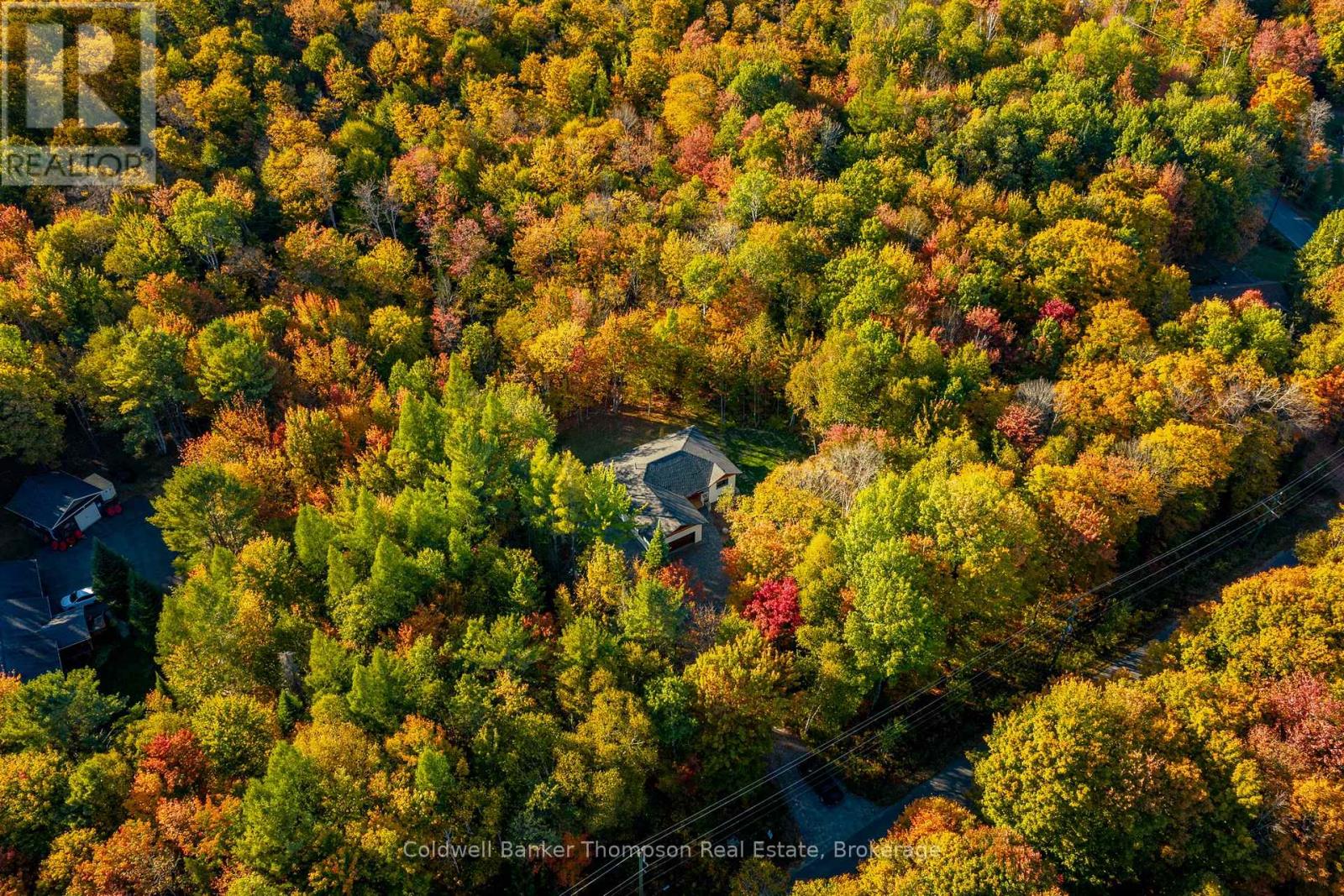 1854 Old Muskoka Road, Huntsville, Ontario  P0B 1M0 - Photo 50 - X12642506