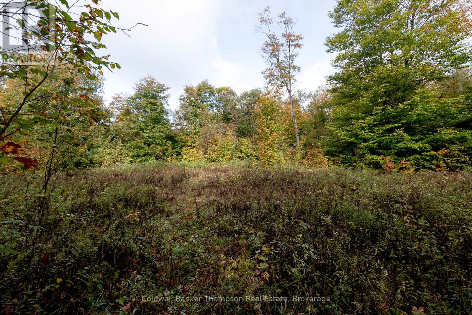 N/a Skyline Drive, Armour, Ontario  P0A 1C0 - Photo 18 - X12642508