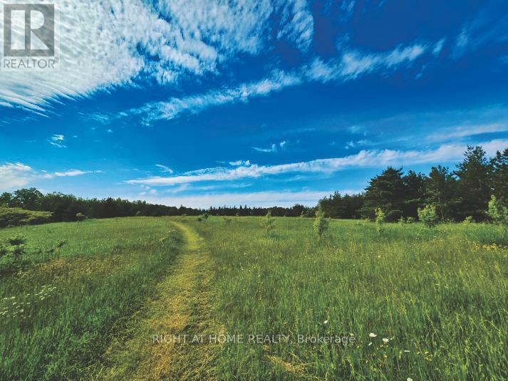 8318 Maynard Road, Clarington, Ontario  L0B 1M0 - Photo 12 - E12238810