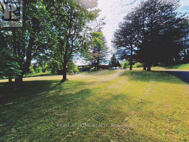 8318 Maynard Road, Clarington, Ontario  L0B 1M0 - Photo 13 - E12238810