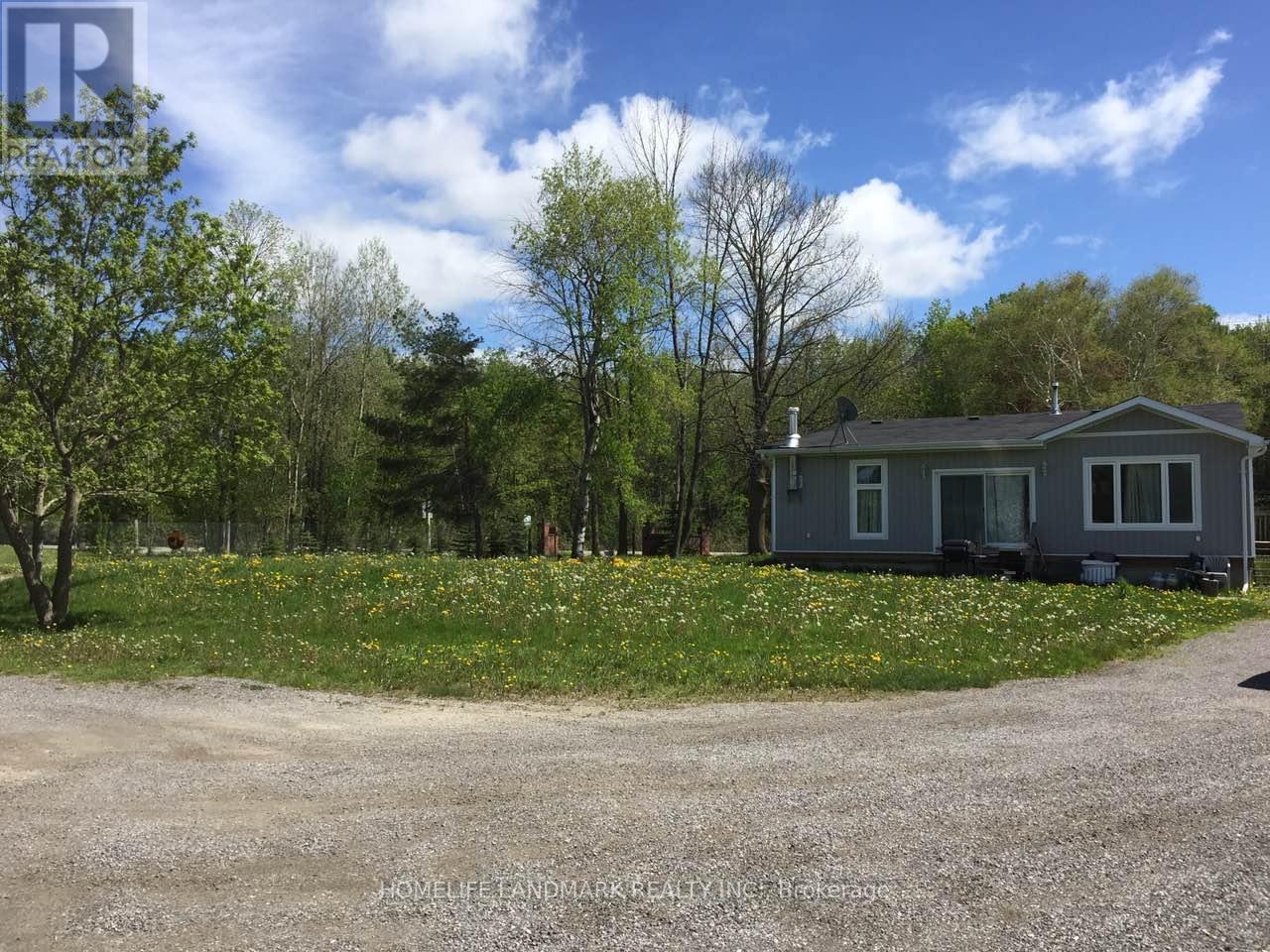 3358 Ravenshoe Road, Georgina, Ontario  L0E 1R0 - Photo 5 - N12642494