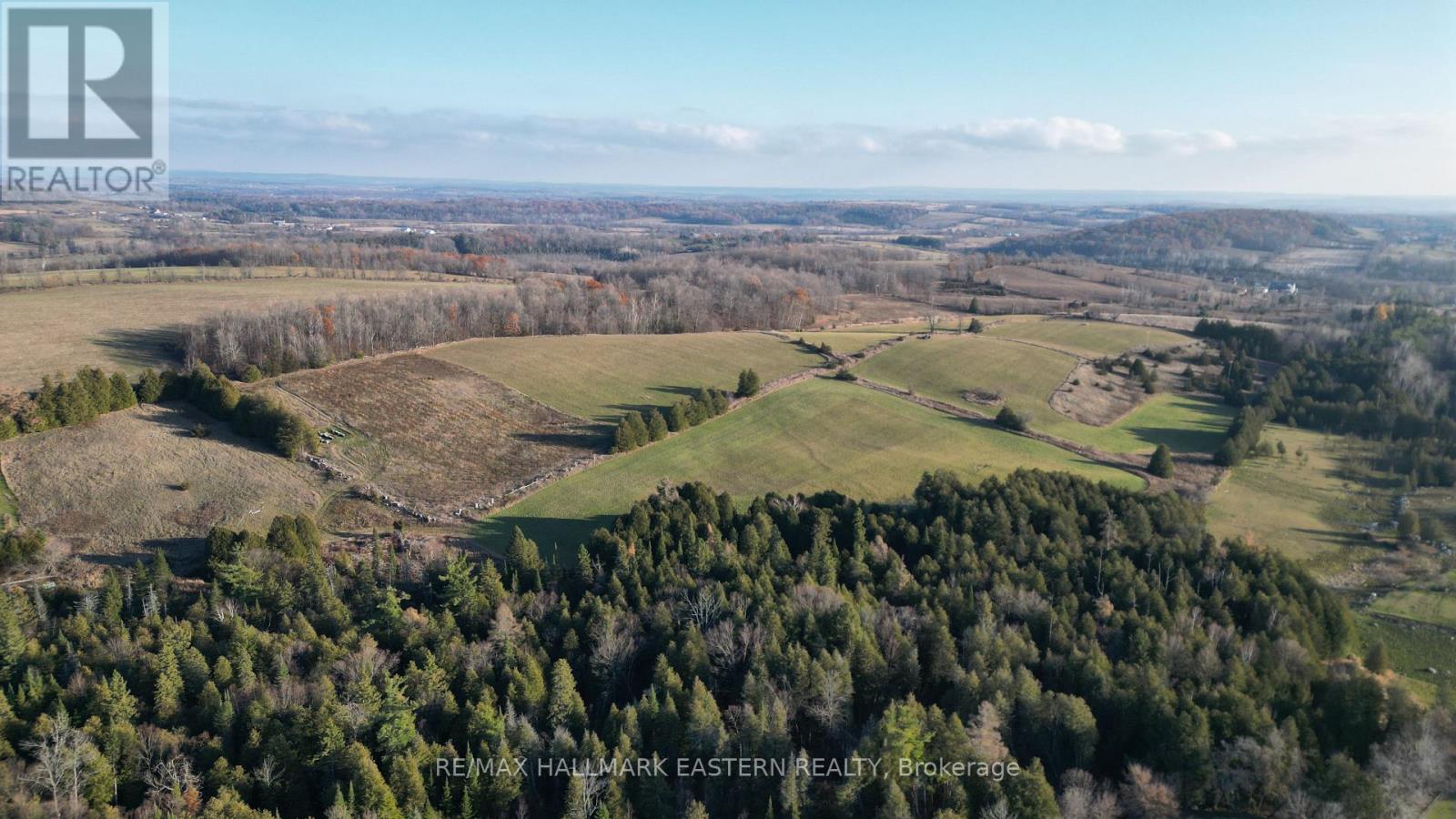 461 Concession 11 E, Trent Hills, Ontario  K0L 1L0 - Photo 15 - X12642686