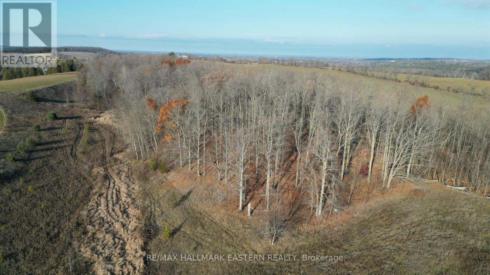 461 Concession 11 E, Trent Hills, Ontario  K0L 1L0 - Photo 6 - X12642686