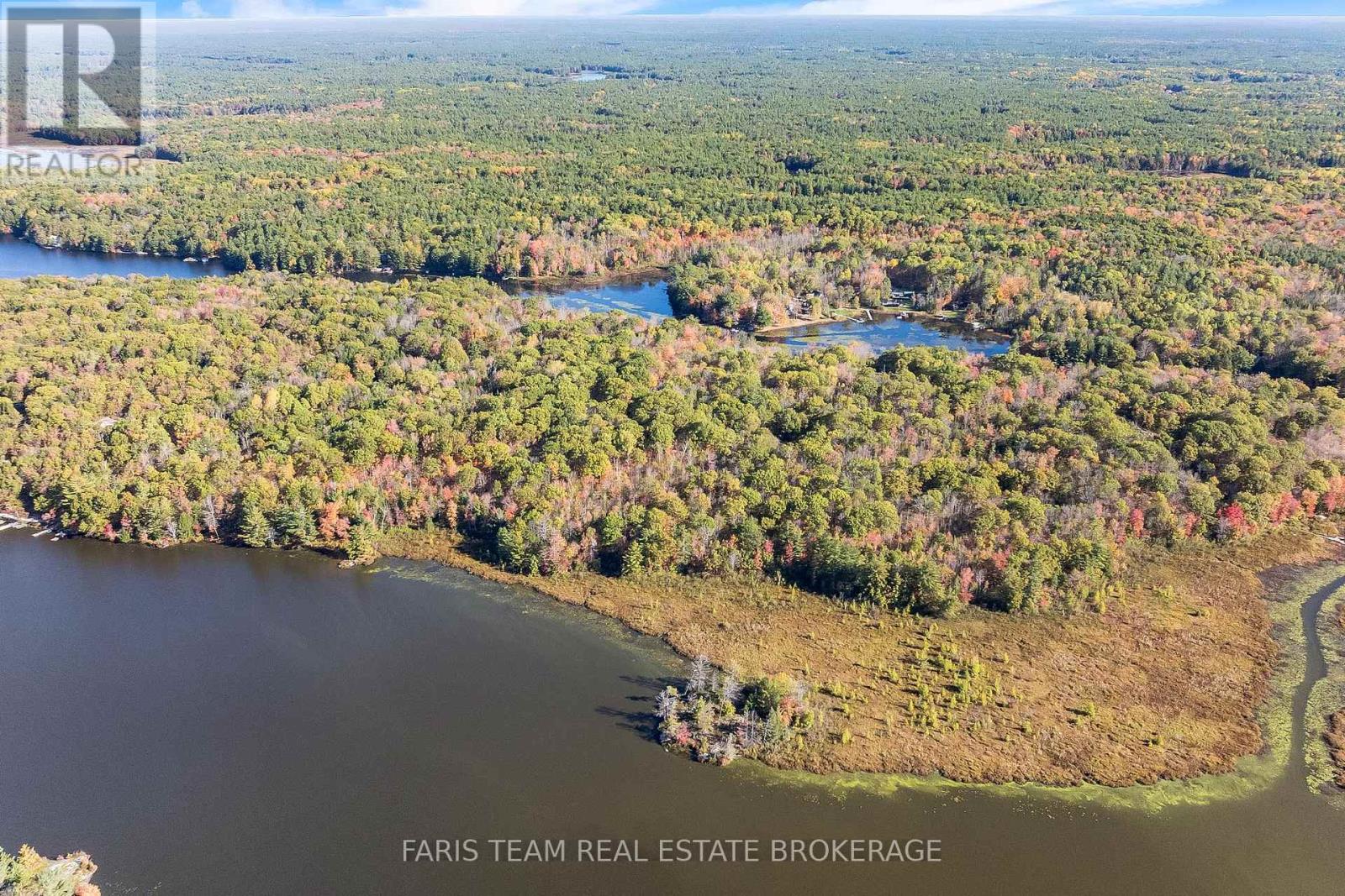 1813 Island Road, Severn, Ontario  L0K 1E0 - Photo 4 - S12456401