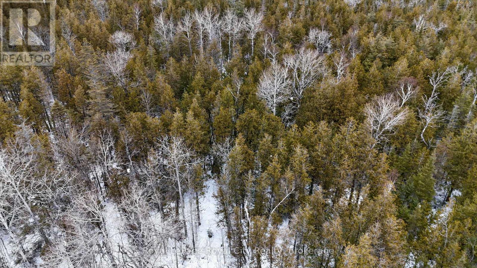 4616 6 Highway, Northern Bruce Peninsula, Ontario  N0H 1Z0 - Photo 30 - X12642652