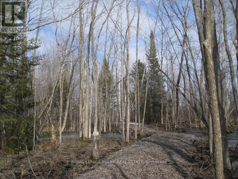 0 Mervin Line, Cavan Monaghan, Ontario  K9J 6Z9 - Photo 11 - X12642742