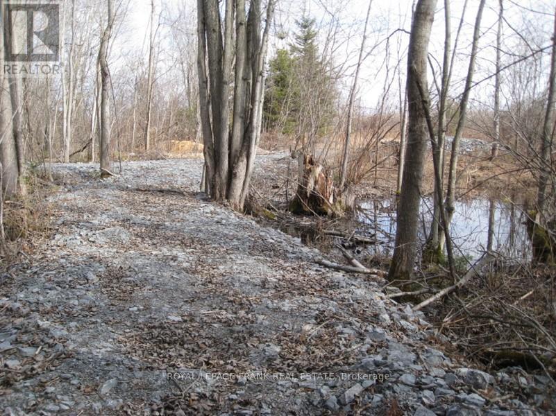 0 Mervin Line, Cavan Monaghan, Ontario  K9J 6Z9 - Photo 13 - X12642742