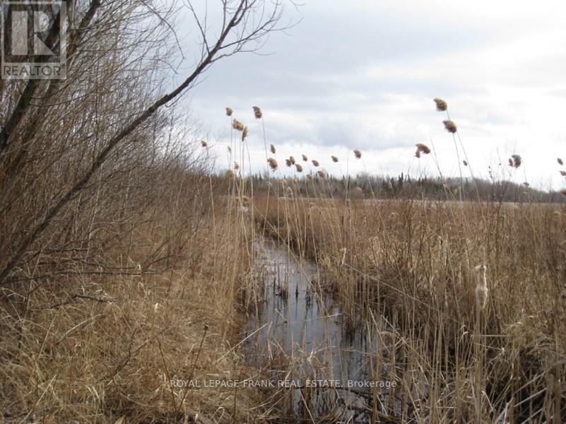 0 Mervin Line, Cavan Monaghan, Ontario  K9J 6Z9 - Photo 14 - X12642742