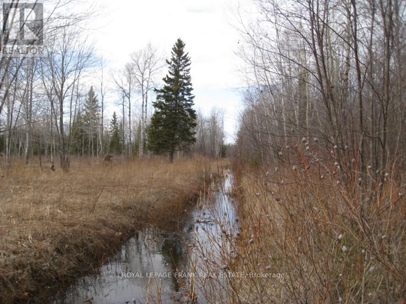 0 Mervin Line, Cavan Monaghan, Ontario  K9J 6Z9 - Photo 15 - X12642742