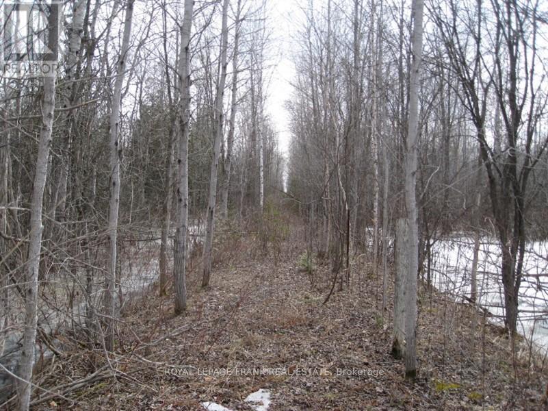 0 Mervin Line, Cavan Monaghan, Ontario  K9J 6Z9 - Photo 2 - X12642742