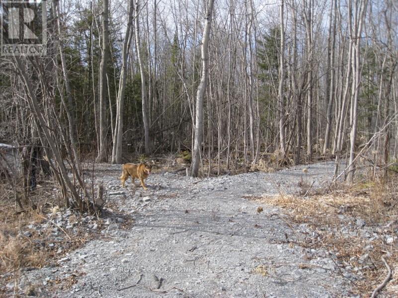 0 Mervin Line, Cavan Monaghan, Ontario  K9J 6Z9 - Photo 3 - X12642742