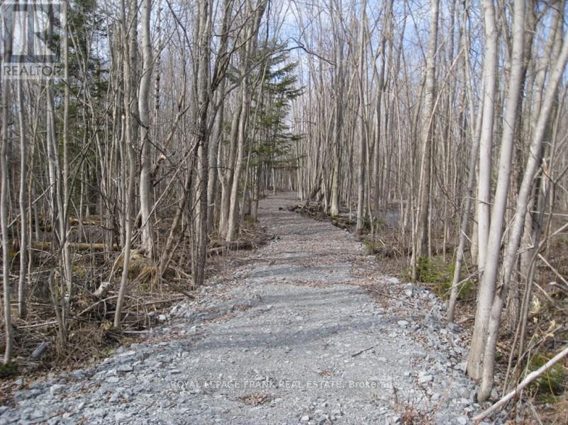 0 Mervin Line, Cavan Monaghan, Ontario  K9J 6Z9 - Photo 4 - X12642742