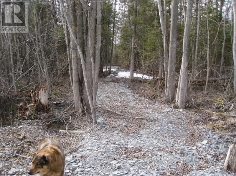 0 Mervin Line, Cavan Monaghan, Ontario  K9J 6Z9 - Photo 5 - X12642742