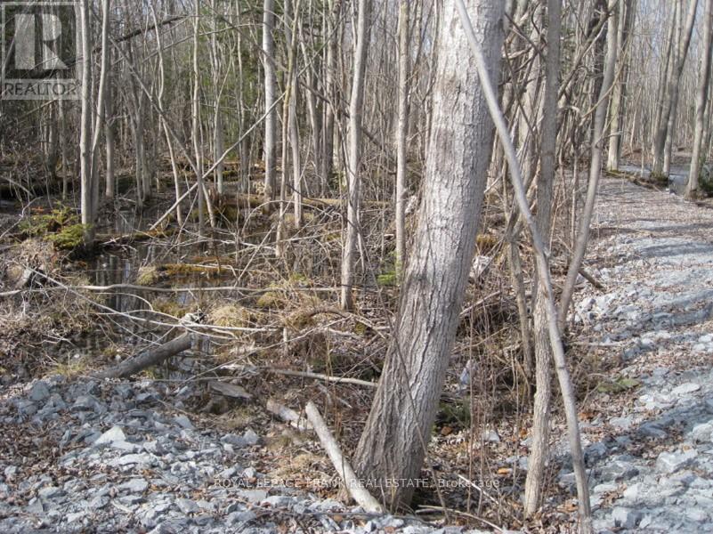 0 Mervin Line, Cavan Monaghan, Ontario  K9J 6Z9 - Photo 6 - X12642742