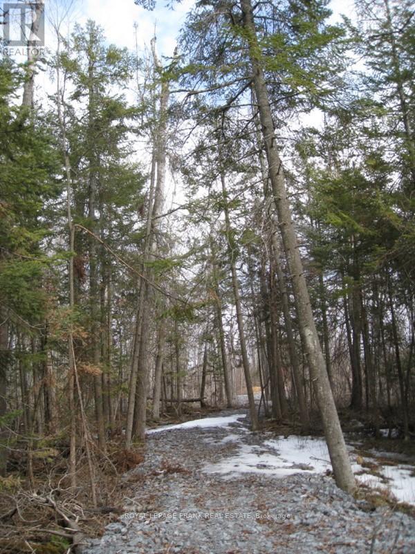 0 Mervin Line, Cavan Monaghan, Ontario  K9J 6Z9 - Photo 9 - X12642742