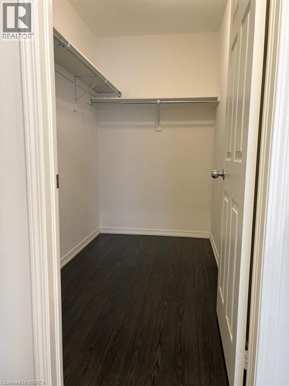 241 Thomas Avenue, Brantford, Ontario  N3S 0E1 - Photo 25 - 40794255