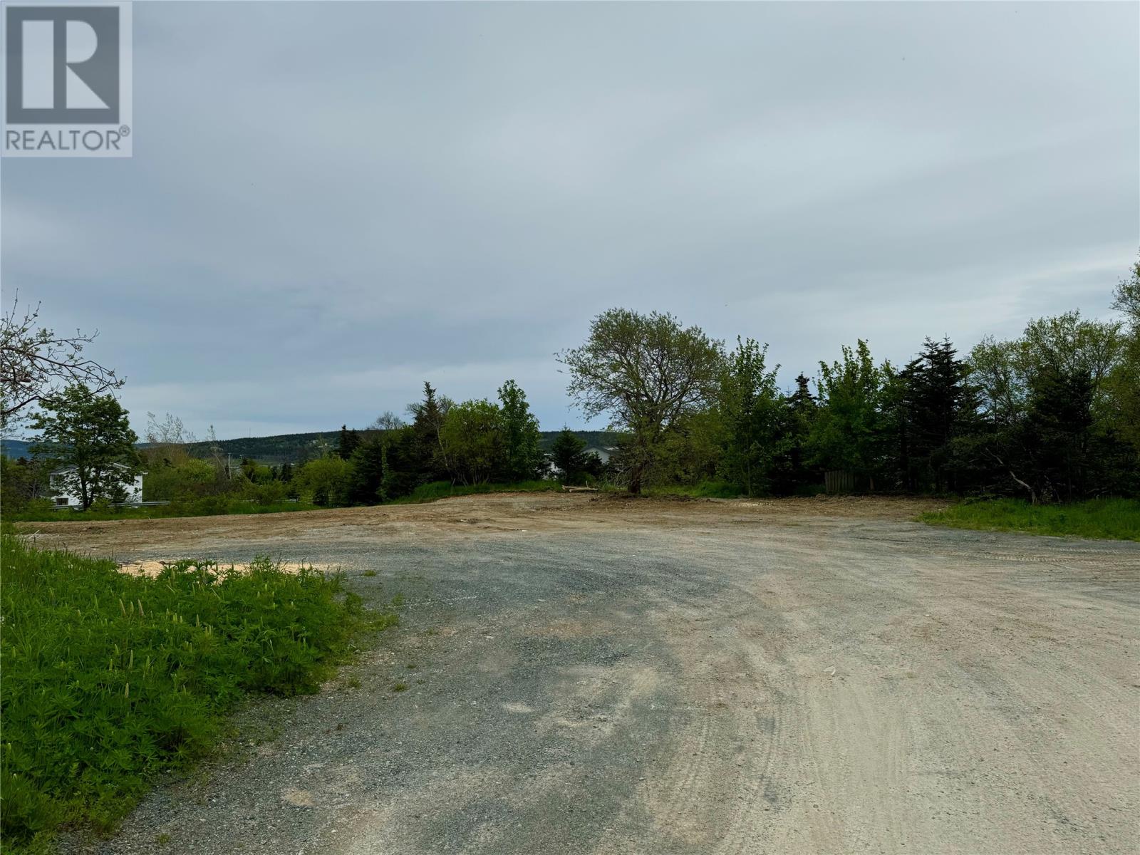 147-149 Thorburn Road, St. John's, Newfoundland & Labrador  A1B 4P8 - Photo 3 - 1283541