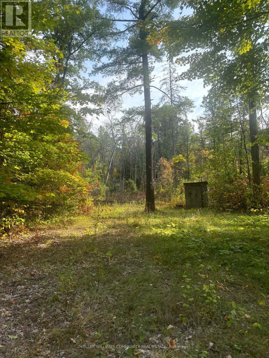 0 Pineview Court, Marmora And Lake, Ontario  K0K 2M0 - Photo 1 - X12642922
