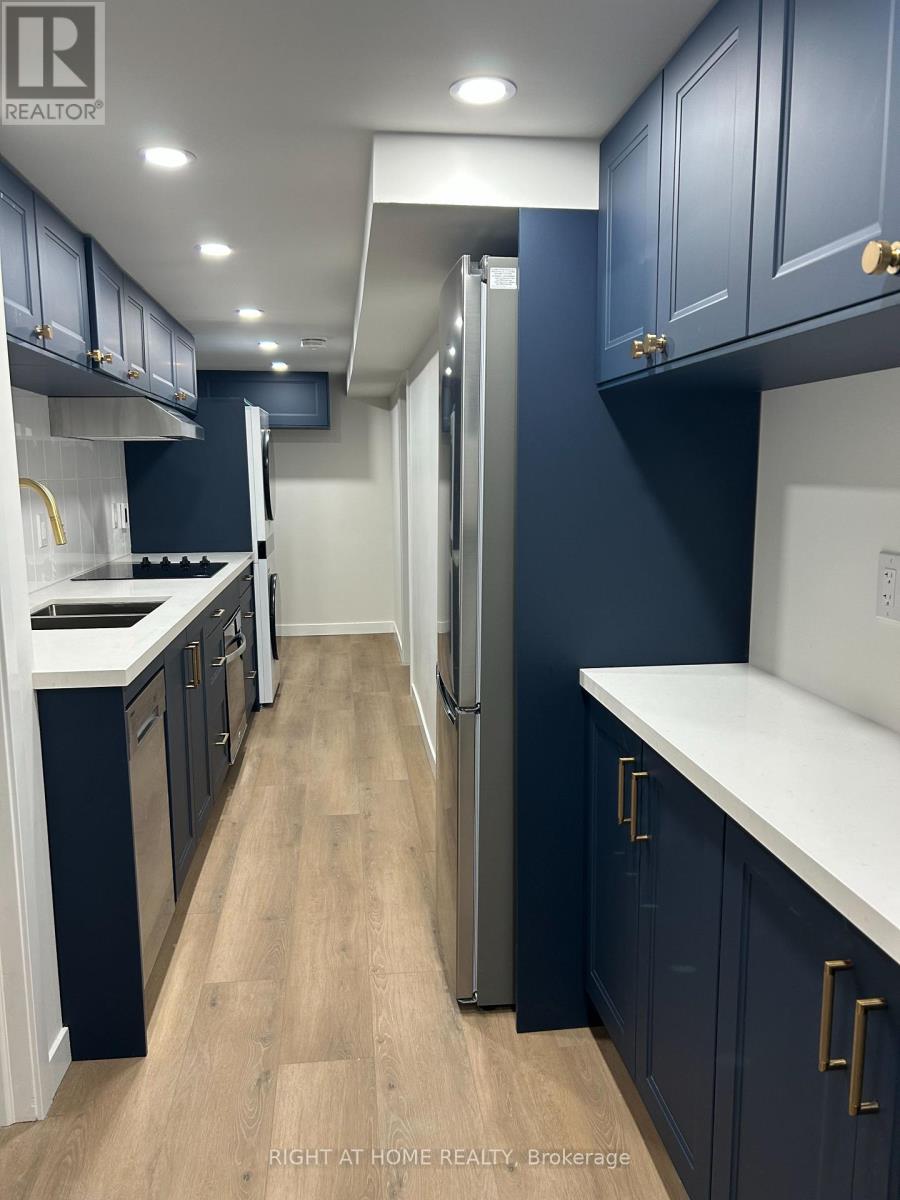 Lower - 333 Millard Avenue, Newmarket (Central Newmarket), Ontario  L3Y 1Z5 - Photo 2 - N12642878