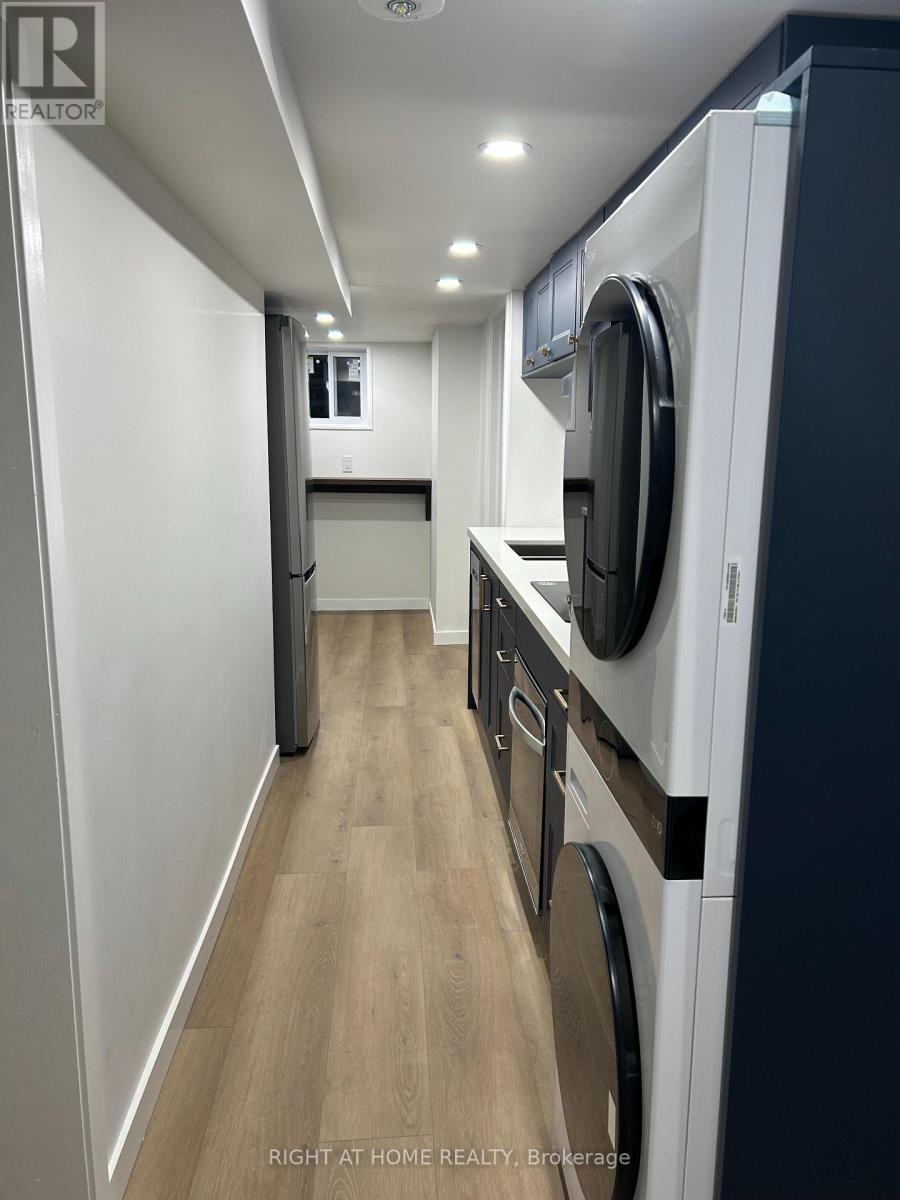 Lower - 333 Millard Avenue, Newmarket (Central Newmarket), Ontario  L3Y 1Z5 - Photo 3 - N12642878