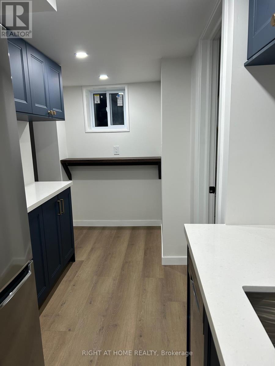 Lower - 333 Millard Avenue, Newmarket (Central Newmarket), Ontario  L3Y 1Z5 - Photo 4 - N12642878