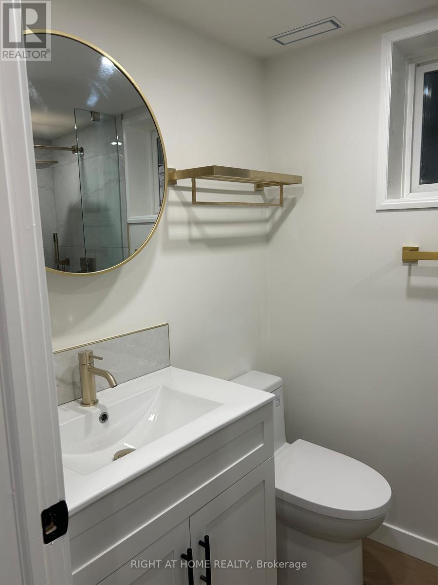 Lower - 333 Millard Avenue, Newmarket (Central Newmarket), Ontario  L3Y 1Z5 - Photo 5 - N12642878