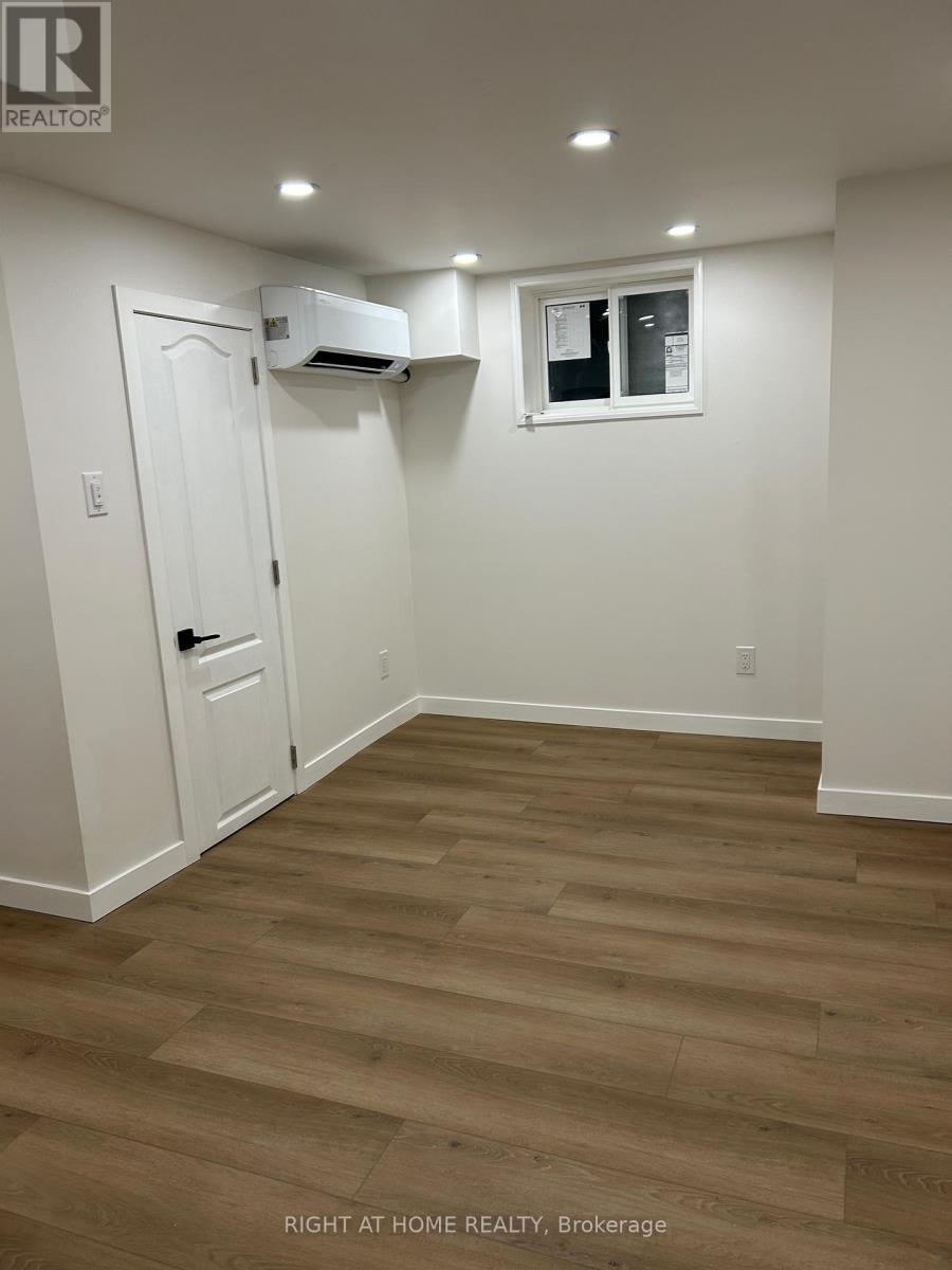 Lower - 333 Millard Avenue, Newmarket (Central Newmarket), Ontario  L3Y 1Z5 - Photo 7 - N12642878