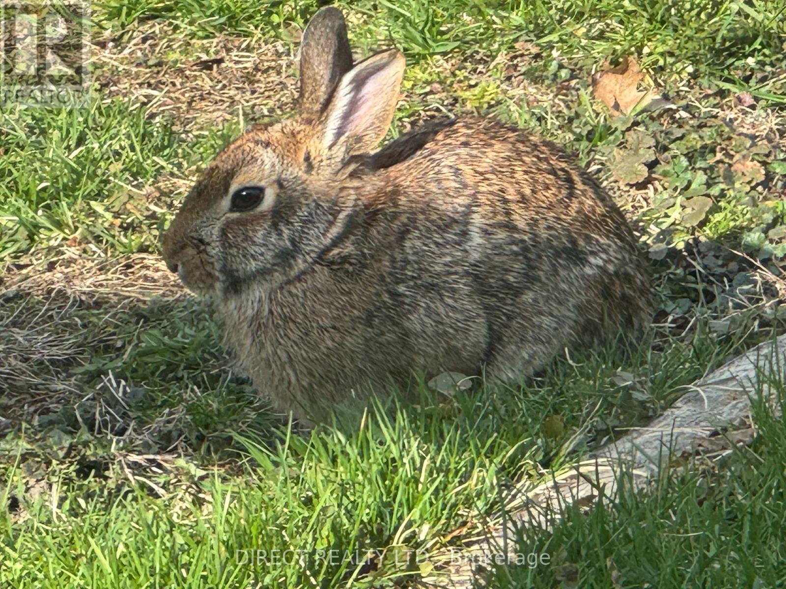 33 Sinclair Street, Belleville (Belleville Ward), Ontario  K8P 3S5 - Photo 27 - X12642996