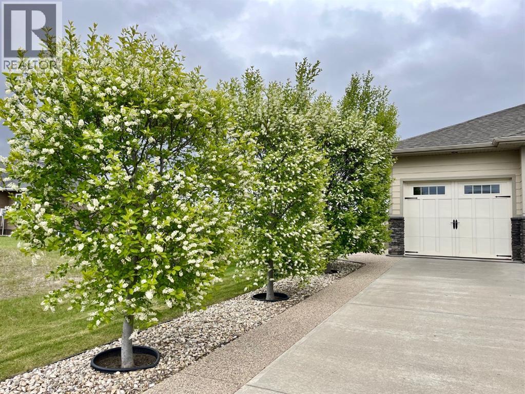 5135 45 Street, Viking, Alberta  T0B 4N0 - Photo 29 - A2189402