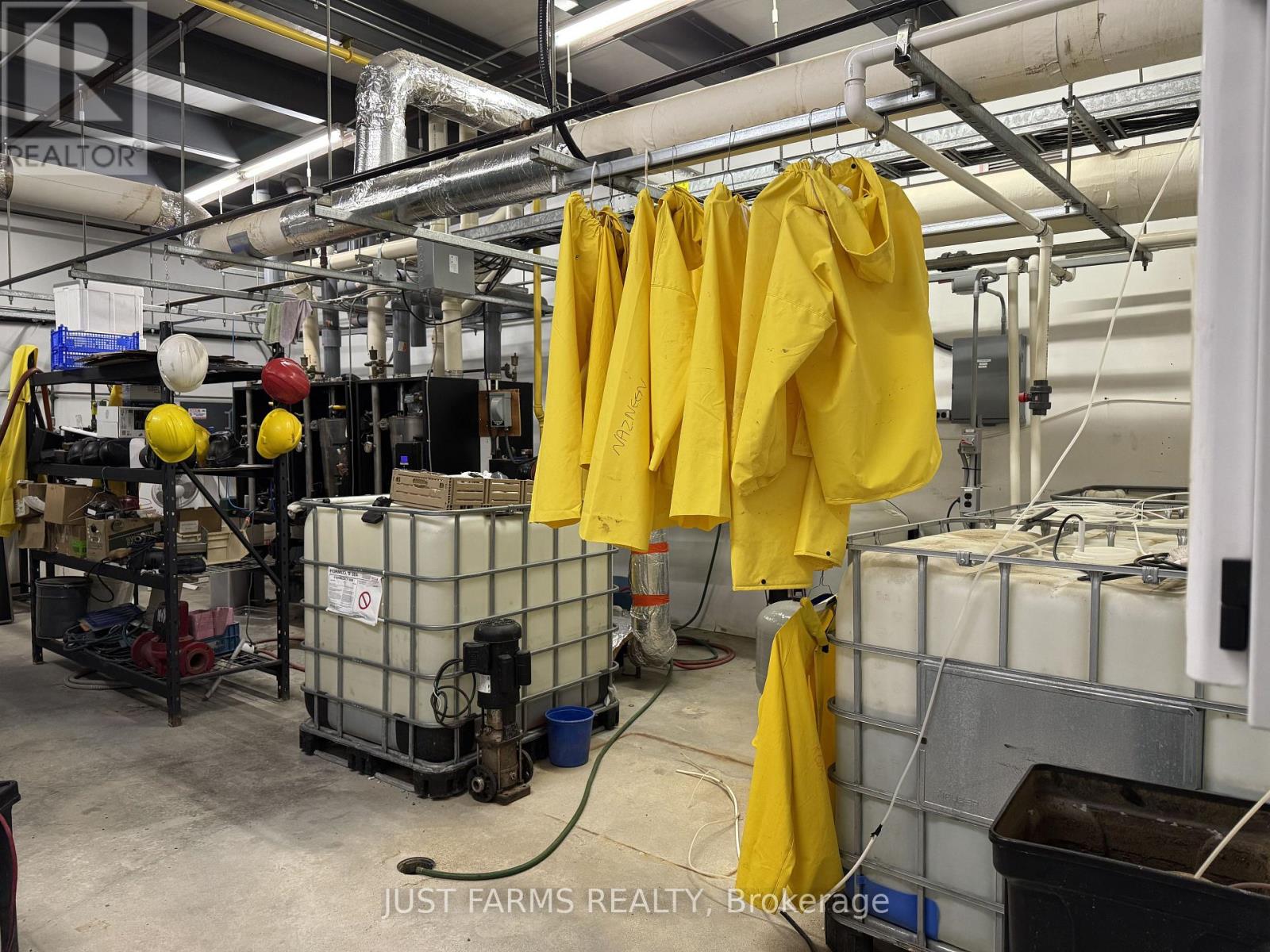 2899 Cromarty Drive, Thames Centre (Putnam), Ontario  N0L 2B0 - Photo 8 - X12642998