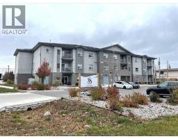 1840 Cabana ROAD East Unit# 303, Windsor, Ontario