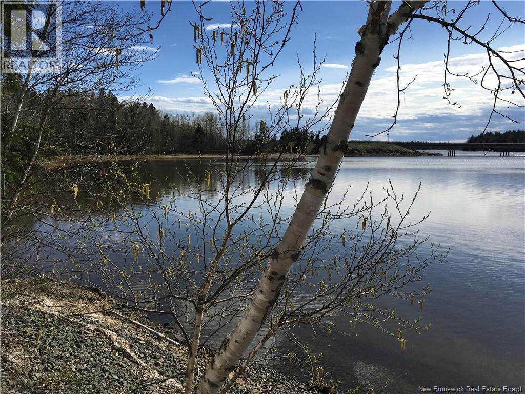 31 Rita Road, Bouctouche, New Brunswick  E4S 3X7 - Photo 38 - NB131250