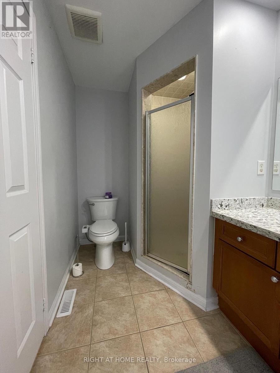 230 Fandango Drive, Brampton, Ontario  L6X 0M1 - Photo 23 - W12642992