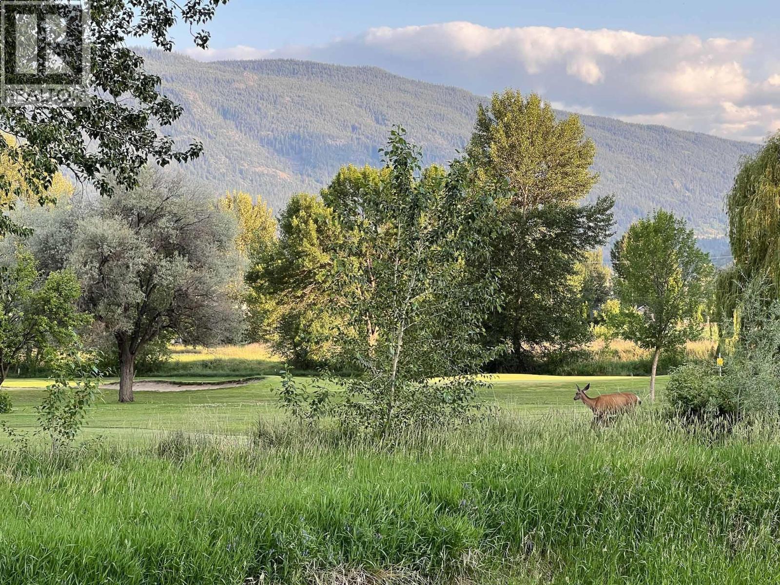 1401 Nicola Avenue Unit# 18, Merritt, British Columbia  V1K 1L8 - Photo 32 - 10371169