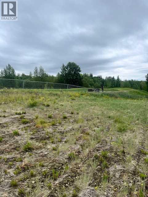 1714, 60017 Township Road 704a Township, Rural Grande Prairie No. 1, Alberta  T8V 5N3 - Photo 3 - A2185221