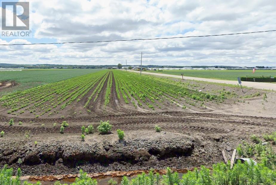 695 Strawberry Lane, King, Ontario  L3Y 4V9 - Photo 3 - N12643116