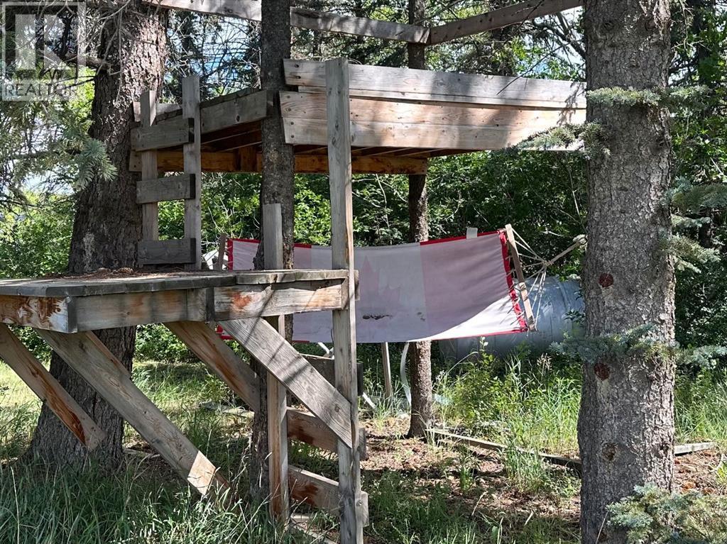 400 Strom Street, Heisler, Alberta T0B 2A0 - Photo 9 - A2246760