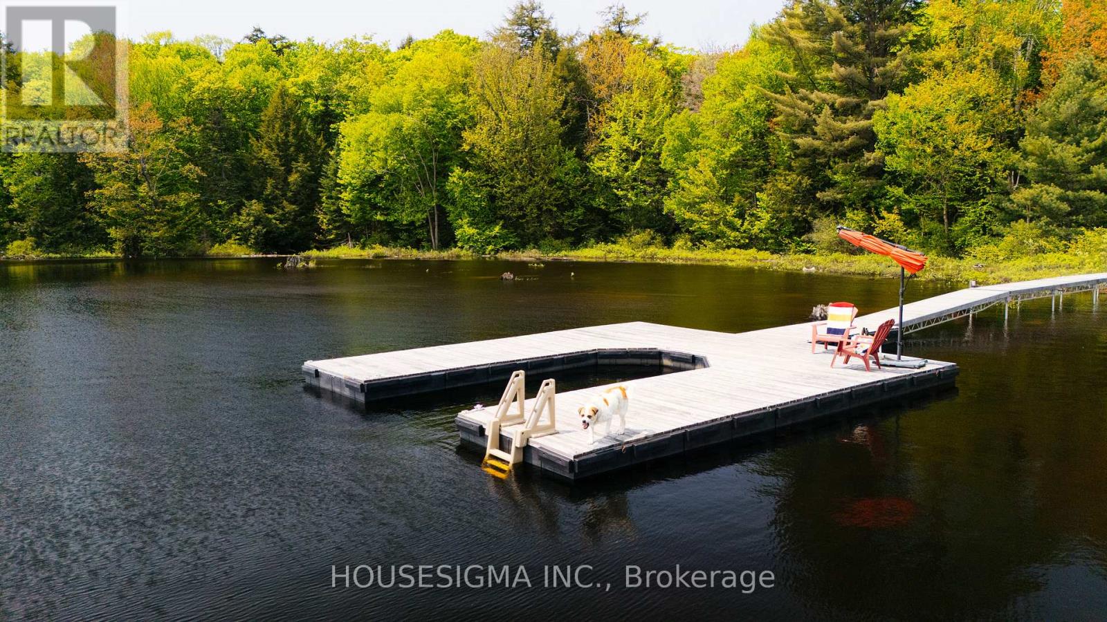 1208 Minnow Drive, Dysart Et Al, Ontario  K0M 1S0 - Photo 7 - X12199973