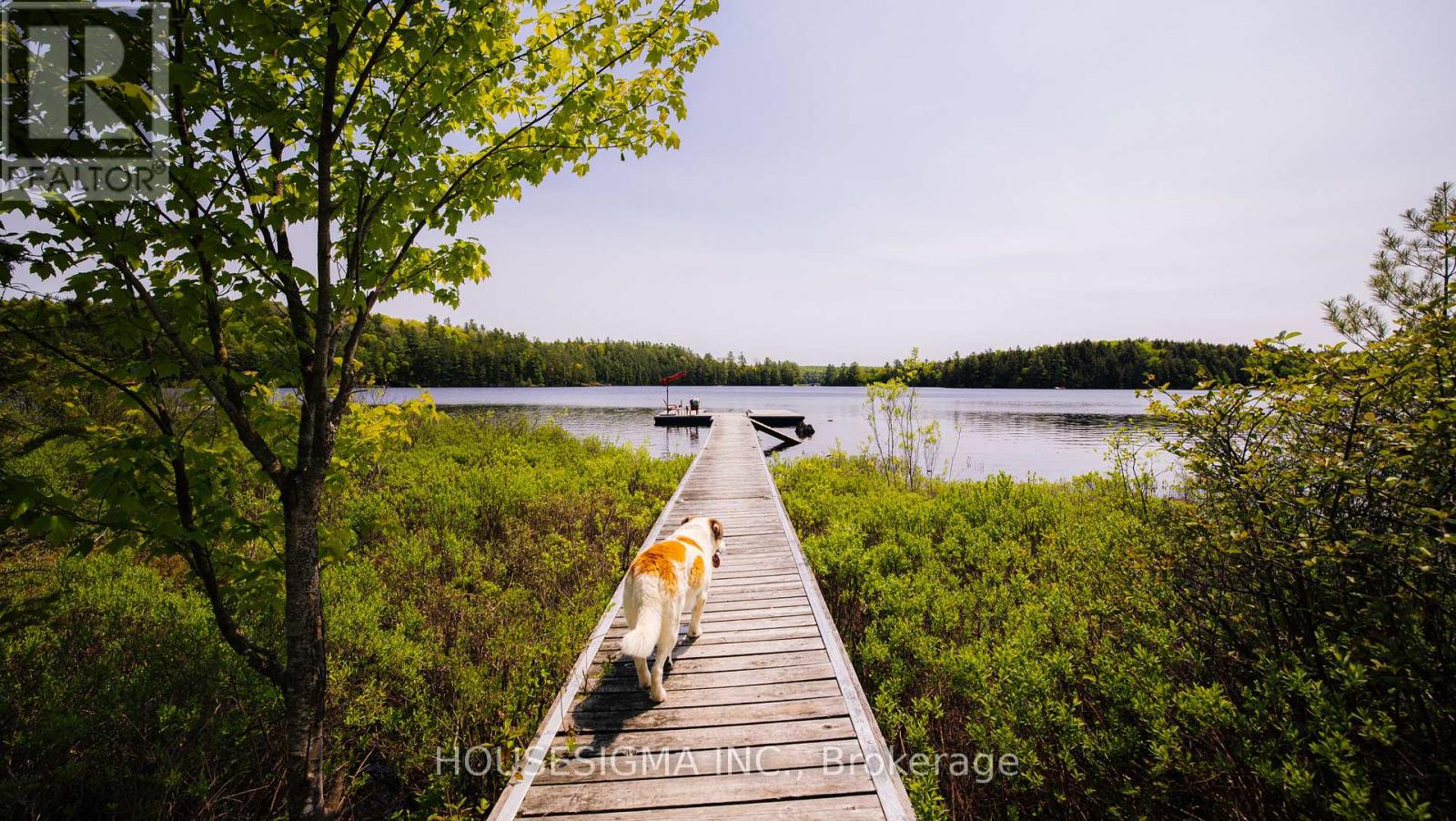 1208 Minnow Drive, Dysart Et Al, Ontario  K0M 1S0 - Photo 34 - X12199973