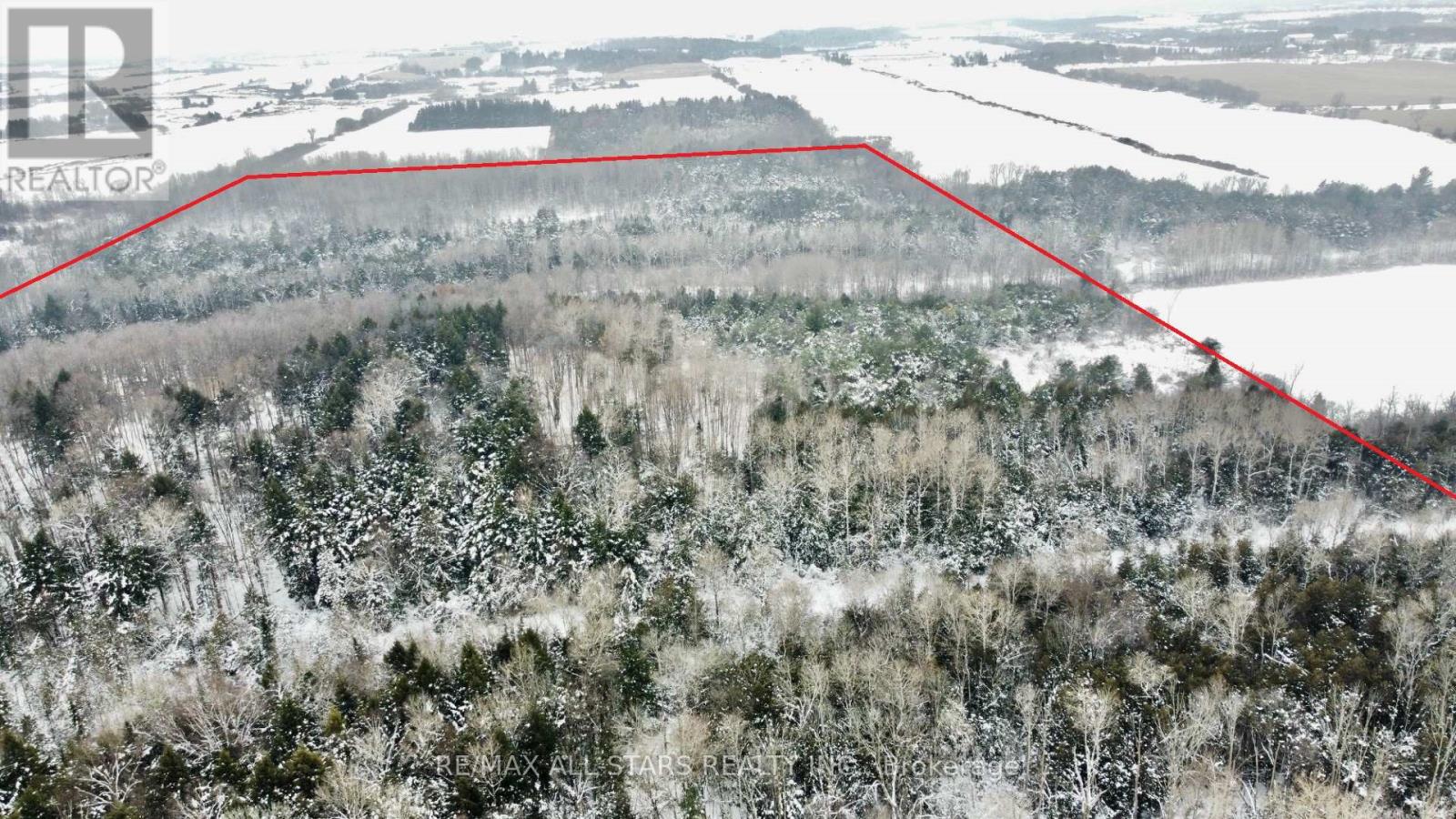 15672 Warden Avenue, Whitchurch-Stouffville, Ontario  L4A 2V6 - Photo 6 - N12643350