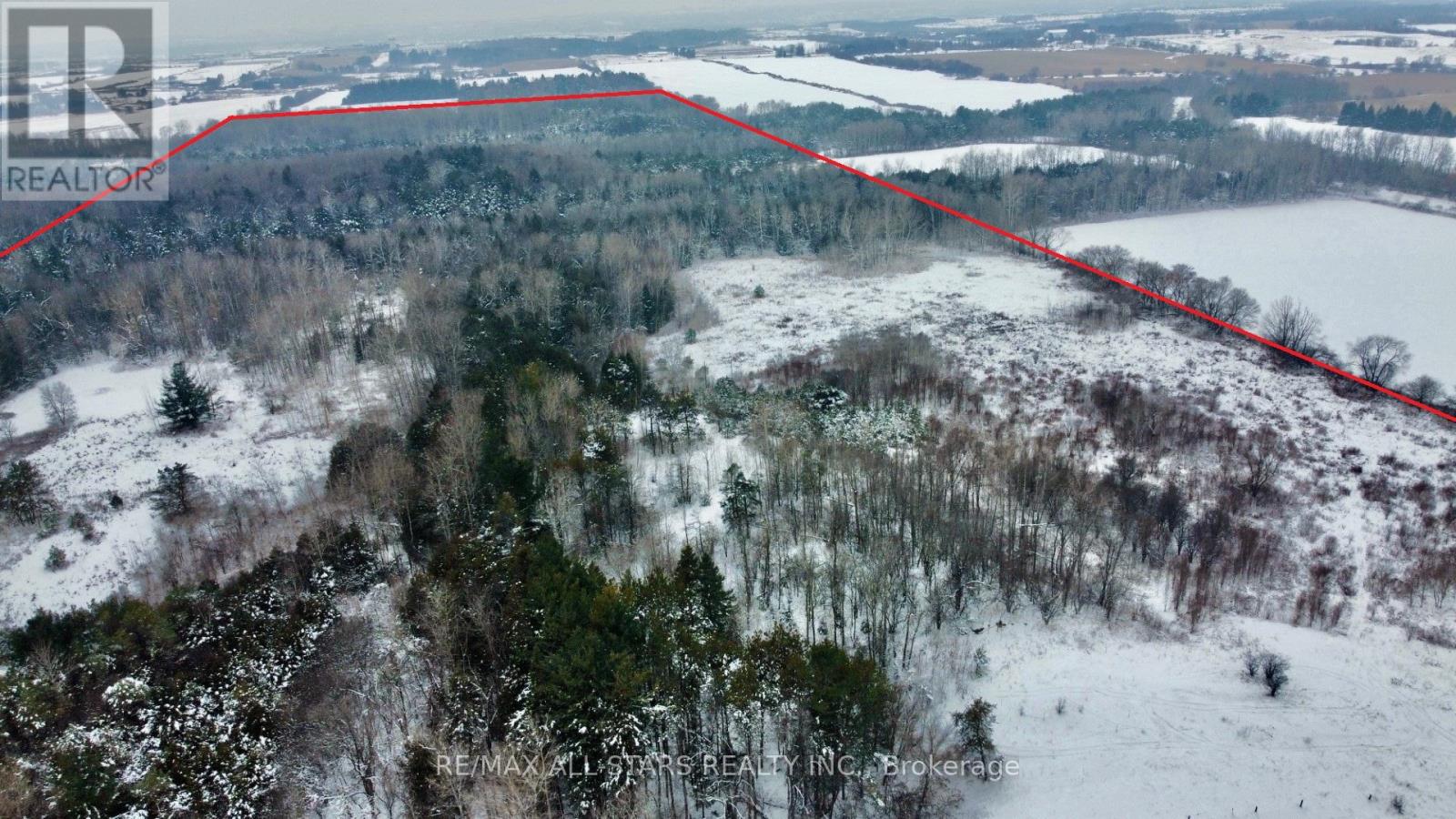 15672 Warden Avenue, Whitchurch-Stouffville, Ontario  L4A 2V6 - Photo 7 - N12643350